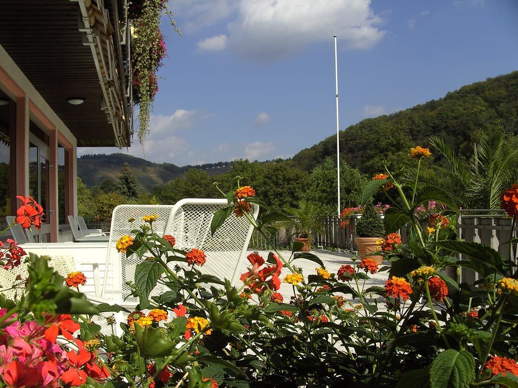 Haus Klosterblick Kröv Extérieur photo
